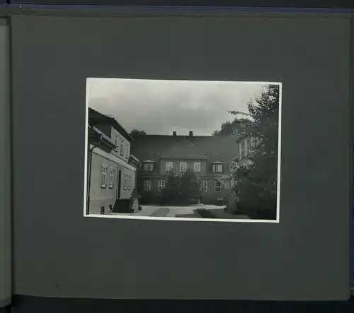 Fotoalbum mit 124 Fotografien, Ansicht Insel Riems, Friedrich Loeffler Institut (FLI), Vierenforschung, Sezierung