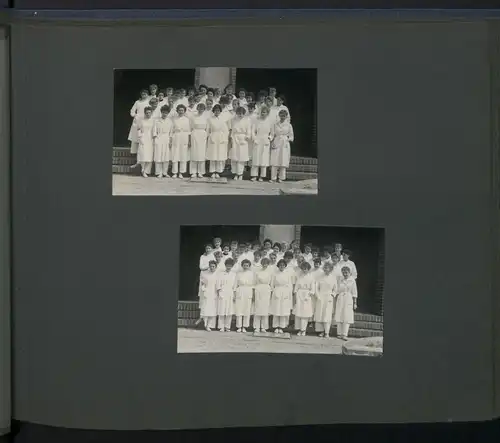 Fotoalbum mit 124 Fotografien, Ansicht Insel Riems, Friedrich Loeffler Institut (FLI), Vierenforschung, Sezierung