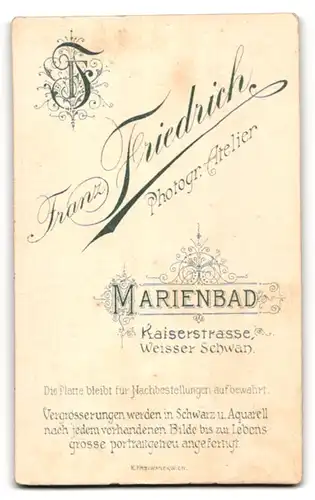 Fotografie Franz Friedrich, Marienbad, Kaiserstrasse, Junge Dame in tailiertem Kleid mit Brosche