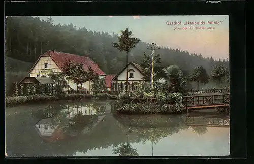 AK Eisenberg, Gasthof Naupolds Mühle von der Teichinsel aus
