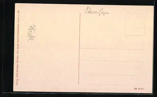 AK Basedow /Mecklenburger Schweiz, Schloss Besedow