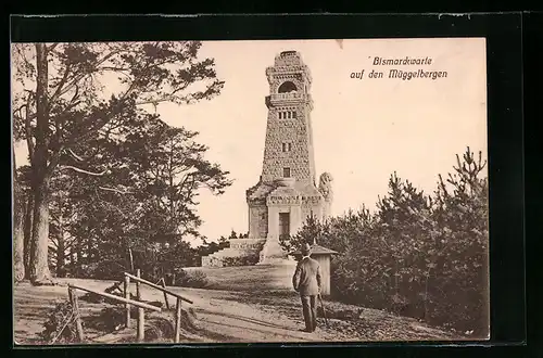 AK Berlin-Köpenick, Bismarckwarte auf dem Müggelberge im Abendlicht