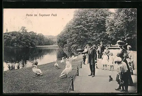 AK Berlin-Treptow, Schwanenfütterung im Park