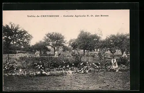 AK Notre-Dame-des-Roses, Colonie Agricole N.-D. des Roses