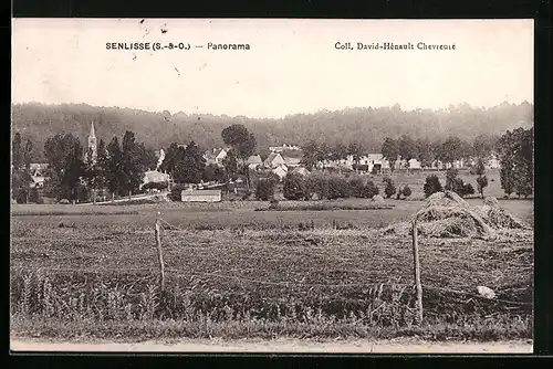 AK Senlisse, Panorama