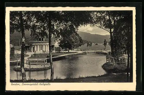 AK Zwesten, Loewensprudel-Heilquelle