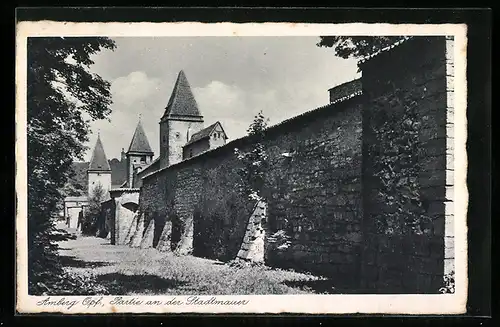 AK Amberg, Partie an der Stadtmauer