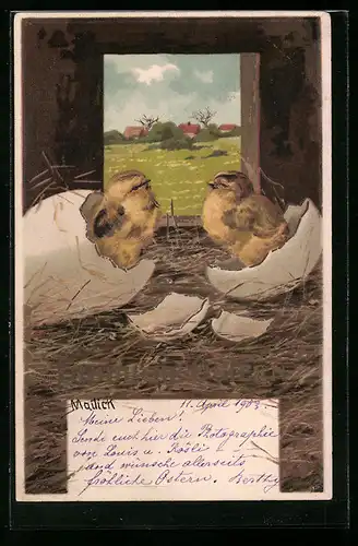 Künstler-AK Alfred Mailick: Osterküken beim Schlüpfen, Ostergruss