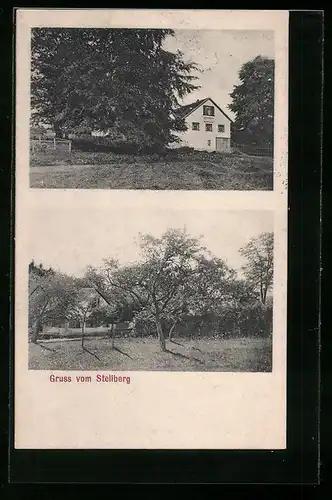 AK Stellberg, Gebäudeansicht, Obstwiese