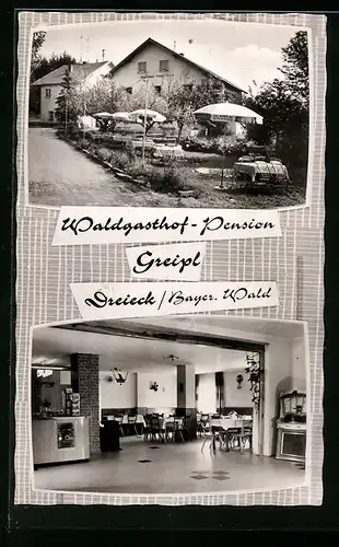 AK Dreieck / Bayer. Wald., Waldgasthof-Pension Greipl, Innenansicht