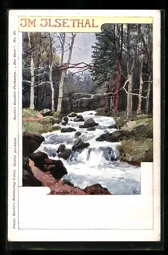 Künstler-AK H. Bahndorf: Ilsethal, Waldpartie mit Bach