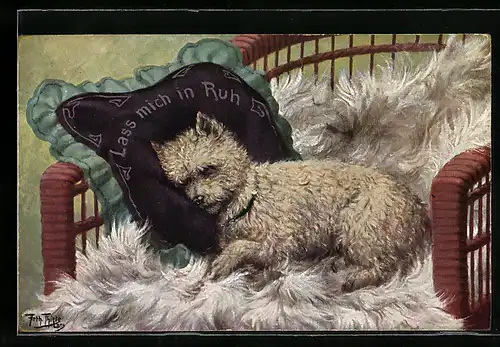 Künstler-AK Arthur Thiele: Pudel-Terrier Mischling ruht auf einem Kissen mit Aufschrift Lass mich in Ruh