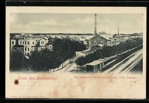 AK Delmenhorst, Norddeutsche Wollkämmerei und Villa Lahnsen