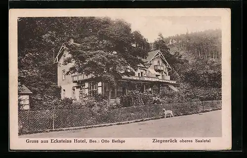 AK Ziegenrück /Oberes Saaletal, Ecksteins Hotel, Bes.: Otto Bethge