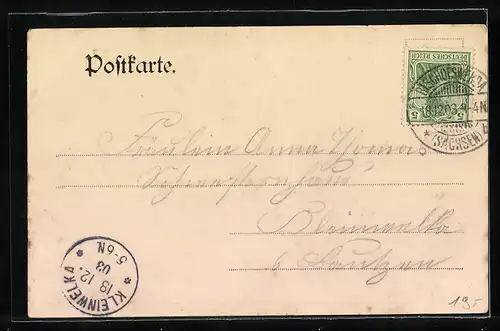 AK Belmsdorf, Gasthof von Rich. Löhnert, Totalansicht