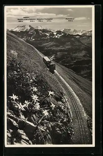 AK Brienz, Brienz-Rothorn-Bahn mit Hochalpen, Mittelhorn, Wetterhorn und Schreckhorn