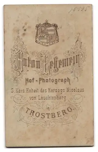 Fotografie Anton Lehemeir, Trostberg, Junge Dame mit Hochsteckfrisur und ernstem Blick