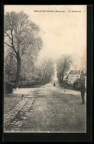 AK Meslay-du-Maine, Le Boulevard