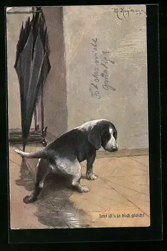 Künstler-AK Max Kuglmayr: Jetzt ist`s ja doch gleich!, traurig schauender kleiner Hund