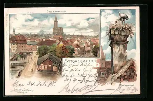 Künstler-AK Carl Münch: Strassburg, Gesamtansicht und Storchennest