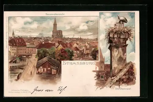 Lithographie Strassburg, Gesamtansicht der Stadt, Storchennest