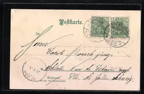 Lithographie Strassburg, Gesamtansicht der Stadt, Storchennest