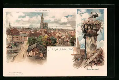 Lithographie Strassburg, Gesamtansicht der Stadt, Storchennest