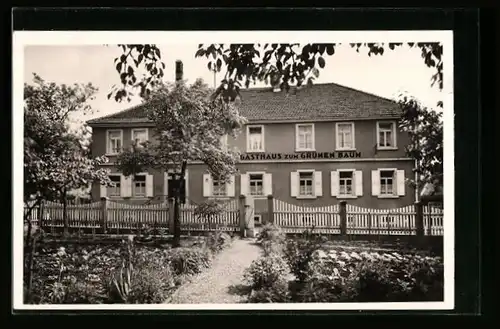 AK Neckargerach, Gasthaus & Pension z. grünen Baum