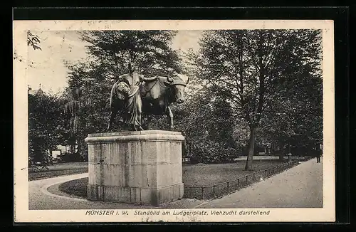 AK Münster i. W., Standbild am Ludgeriplatz, Viehzucht darstellend