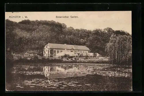 AK Münster i. W., Botanischer Garten
