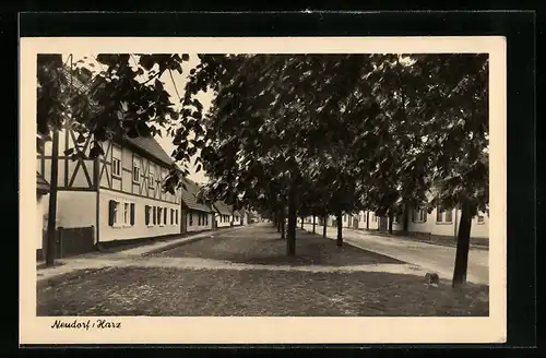 AK Neudorf, Strassenpartie mit Bäumen