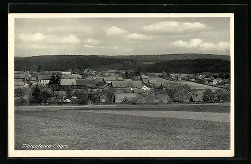 AK Siptenfelde, Panorama vom Feld aus gesehen