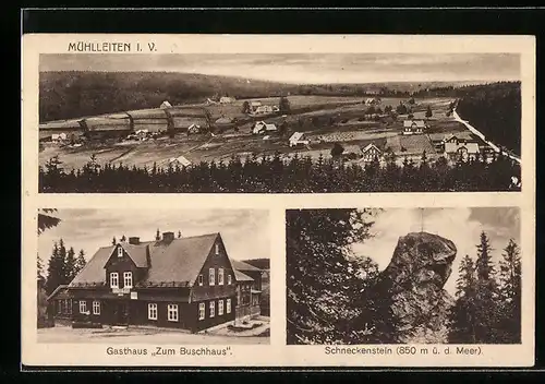 AK Mühlleiten i. V., Gasthaus Zum Buschhaus, Schneckenstein, Gesamtansicht