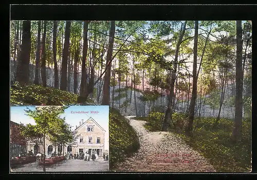 AK Bannewitz, Eutschützer Mühle und Waldweg