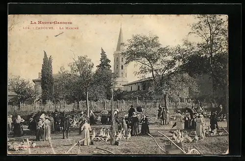 AK Cadours, Le Marché, Handel auf dem Markt