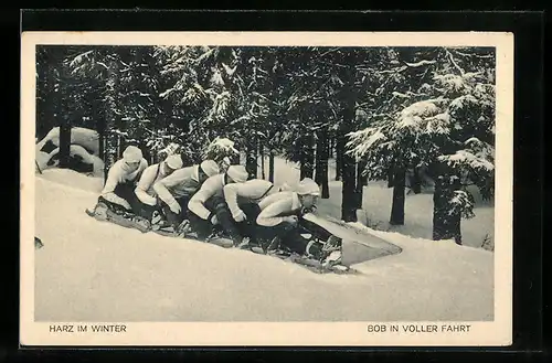 AK Harz, Bob in voller Fahrt