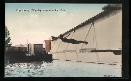AK Flügelsprung vom 1 m Brett