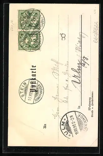 Künstler-AK Carl Biese: Stein a. Rh., Panorama