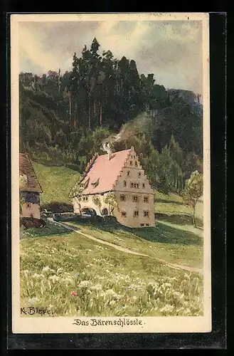 Künstler-AK Carl Biese: Das Bärenschlössle