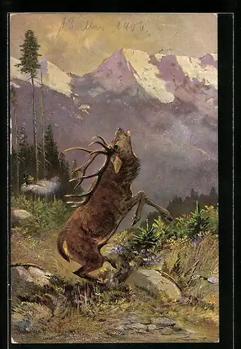 AK Jagdeinladung, Hirsch ruft nach seiner Familie