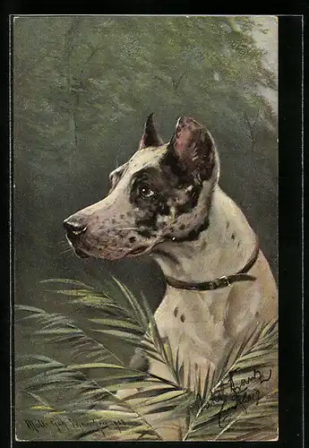 Künstler-AK M. Müller jun.: Jagdhund wittert Beute