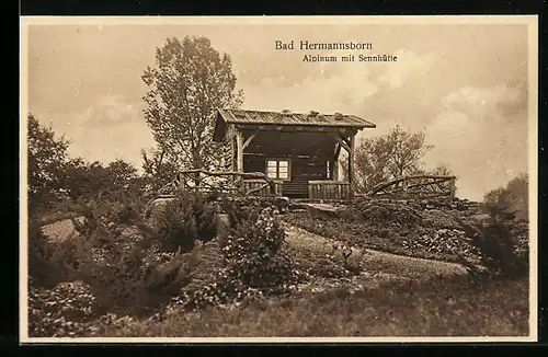 AK Bad Hermannsborn, Alpinum mit Sennhütte