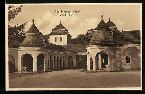 AK Bad Driburg / Westf., Wandelgänge Bad Hermannsborn