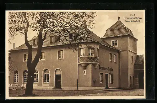 AK Bad Driburg, Hotel Bad Hermannsborn, Tageswirtschaft