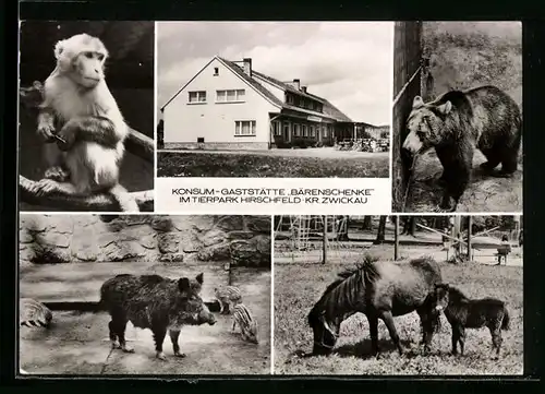 AK Hirschfeld /Kr. Zwickau, Konsum-Gaststätte Bärenschenke im Tierpark, Affe und Bär