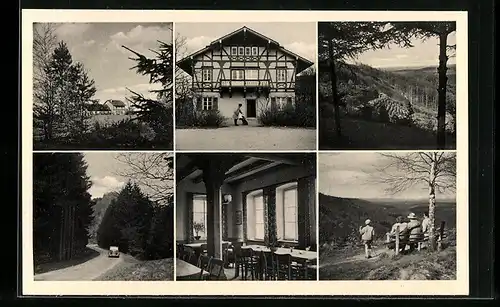 AK Annweiler am Trifels, Forsthaus Taubensuhl, Landschaftsansichten