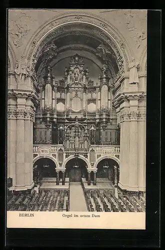 AK Berlin, Orgel im neuen Dom