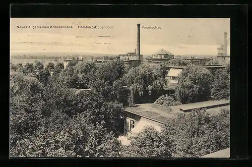 AK Hamburg-Eppendorf, Neues Allgemeines Krankenhaus aus der Vogelschau