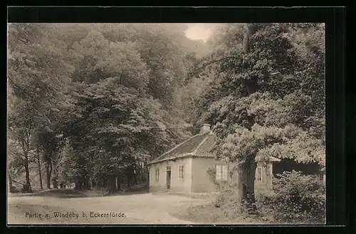 AK Windeby, Waldpartie