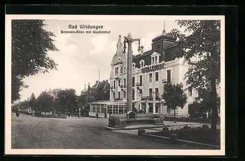 AK Bad Wildungen, Brunnen-Allee mit Quellenhof